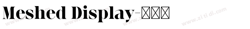 Meshed Display字体转换